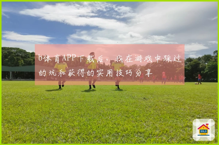 b体育APP下载后，我在游戏中踩过的坑和获得的实用技巧分享