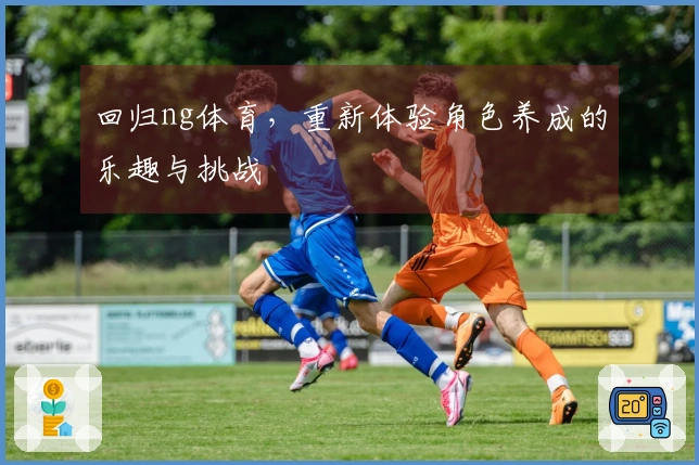 回归ng体育，重新体验角色养成的乐趣与挑战